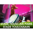 Rugby : Stade Français - Toulouse