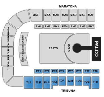 madonna plan florence 2012