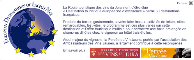percee vin jaune bus ontours