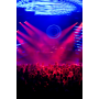 Mutek
