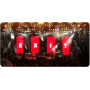 Exit Festival