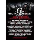 Brutal Assault